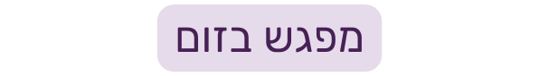 מפגש בזום